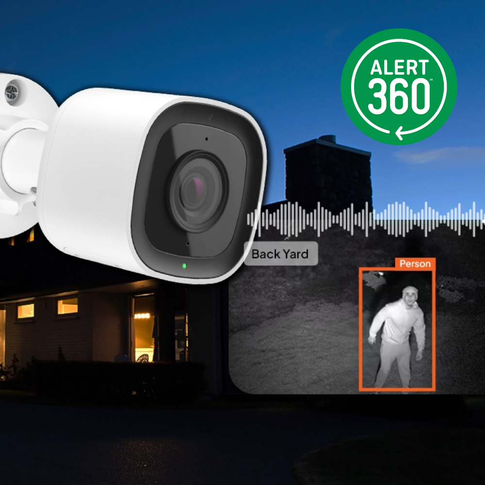 Professional Surveillance